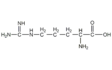 l-精氨酸結(jié)構(gòu)式