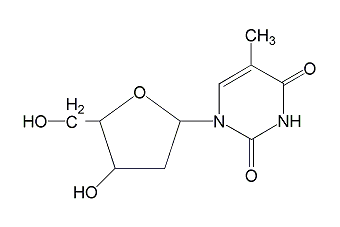 Thymidine